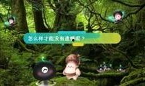 野生菌爆料视频大全集,视频大全集揭秘奇珍异菌世界