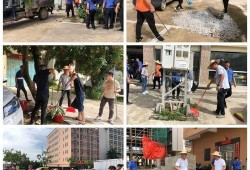 龙湖新溪爆料最新消息今天,最新爆料揭示惊人真相！”