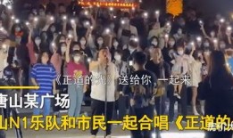 唐山事情爆料视频最新,真相与反思交织的街头冲突