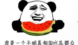 开局吃瓜全集免费阅读,揭秘娱乐圈背后的秘密
