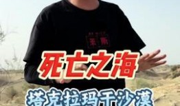 新疆小哥哥爆料视频全集,揭秘真实生活点滴