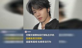 刘耀文私生爆料视频合集,揭秘明星私生活背后的真相