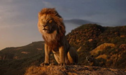 辛巴鹿爆料视频在线观看,揭秘幕后真相，带你走进事件核心