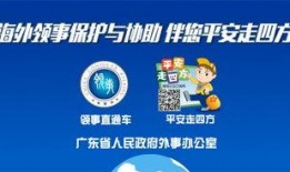 佛山电台爆料视频播放,揭秘背后惊人真相