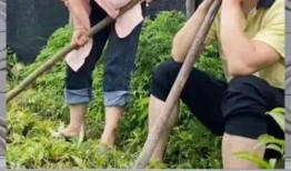 娱乐八卦是吃瓜群众