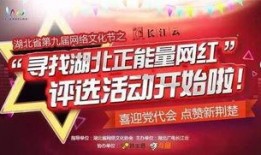 湖北爆料新闻的网红,湖北网红爆料新闻引发热议