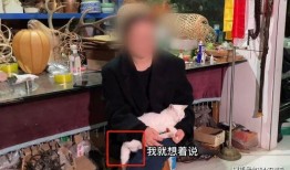 蛋仔博主爆料视频,视频内容大揭秘！