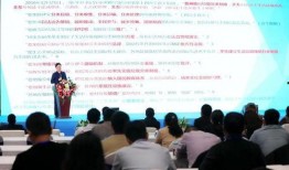 狸猫新形态爆料视频大全,视频大全带你领略萌宠进化之旅