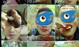 野生菌爆料视频大全集,视频大全集揭秘奇珍异菌世界