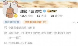 卡哥最新爆料视频大全集,揭秘幕后真相，带你领略风云变幻