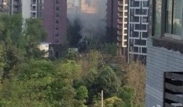 成都公园爆料视频,揭秘公园里的不为人知故事