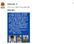 陕西新城区爆料案件最新,案情细节及最新进展揭秘”