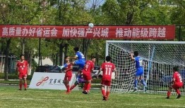 足球青训队爆料新闻稿件,独家爆料背后的青训真相