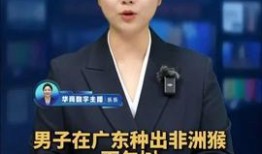 辽宁女老板爆料新闻视频,揭秘企业内幕与行业乱象