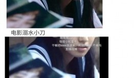 娱乐圈系统吃瓜小说