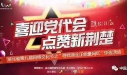 湖北爆料新闻的网红,湖北网红爆料新闻引发热议