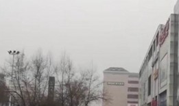 陕西新城区爆料案件最新,案情细节及最新进展揭秘”