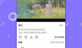 今日菜价爆料新闻视频下载,视频揭秘市场动态，价格涨跌一览无余