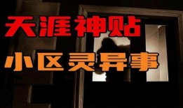 社区大事件爆料视频,大事件视频曝光，精彩瞬间一网打尽