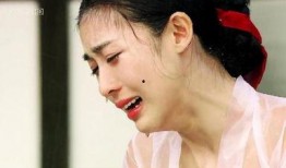 河智苑黄真伊在线观看,在线观看，揭开韩流女神的璀璨魅力