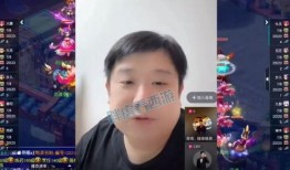 南哥爆料美团是真的吗视频,美团真相揭秘，视频揭露行业黑幕