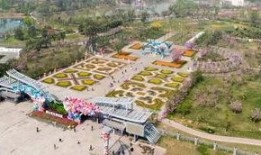 成都公园爆料视频,揭秘公园里的不为人知故事