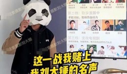 刘大锤漫画爆料视频,揭秘幕后故事与精彩瞬间