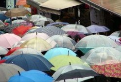 重庆网友爆料雨伞事件视频,雨伞事件引发网友热议