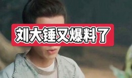 刘大锤漫画爆料视频,揭秘幕后故事与精彩瞬间