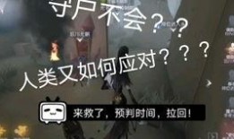 第五视频在线观看,揭秘热门网络视频平台的魅力与挑战