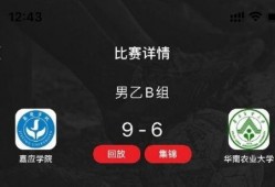 迪拜爆料网赌视频,揭秘网赌视频背后的惊人真相