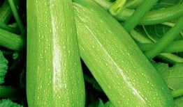 2023年6月网红吃瓜,盘点热门事件与幕后真相