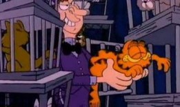 加菲猫全集在线观看,欢乐逗趣，温馨陪伴，尽在这一季