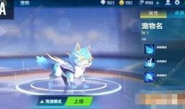 飞车手游最新爆料宠物,神秘力量助你驰骋赛道