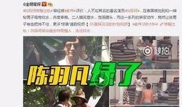 何小姐前任爆料视频大全,真相与争议交织