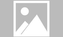 烟花动漫电影在线观看,动漫电影在线观看之旅