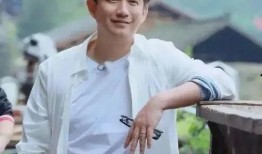 娱乐圈八卦爆料黄磊,揭秘明星背后的真相