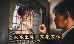 双龙出手在线观看完整版,巅峰对决，热血激战