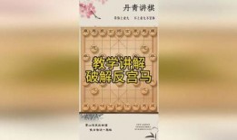 象棋黄丹青爆料视频,独家爆料视频深度解析