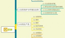 广东小吃爆料视频大全集,广东小吃爆料视频大全集精彩回顾