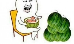 娱乐吃瓜被吐槽,从狂欢到吐槽，揭秘网络舆论的变迁