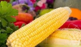 爆料玉米棒子做吃的视频,创意视频教你美味变身