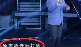 王自健出轨爆料新闻视频,视频揭露惊人真相