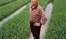吃瓜爆料袁隆平视频全集,揭秘农业巨擘的智慧人生与科研历程