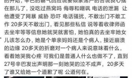 辛巴燕窝最初爆料者视频,揭秘爆料者视频背后的真相