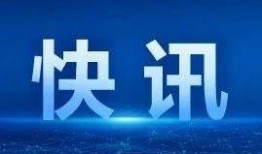新闻爆料记者电话,揭秘事件背后惊人真相