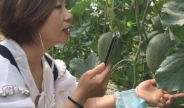 吃瓜小哥网红叫什么名字,揭秘吃瓜小哥的网红之路