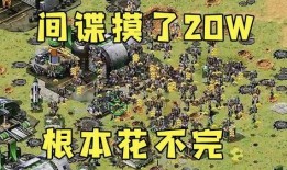 青岛红警飞哥爆料事件视频,揭秘背后真相与争议