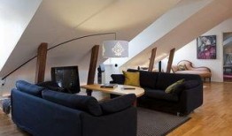 阁楼在线观看,在线观看之旅