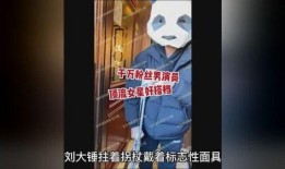 刘大锤漫画爆料视频,揭秘幕后故事与精彩瞬间
